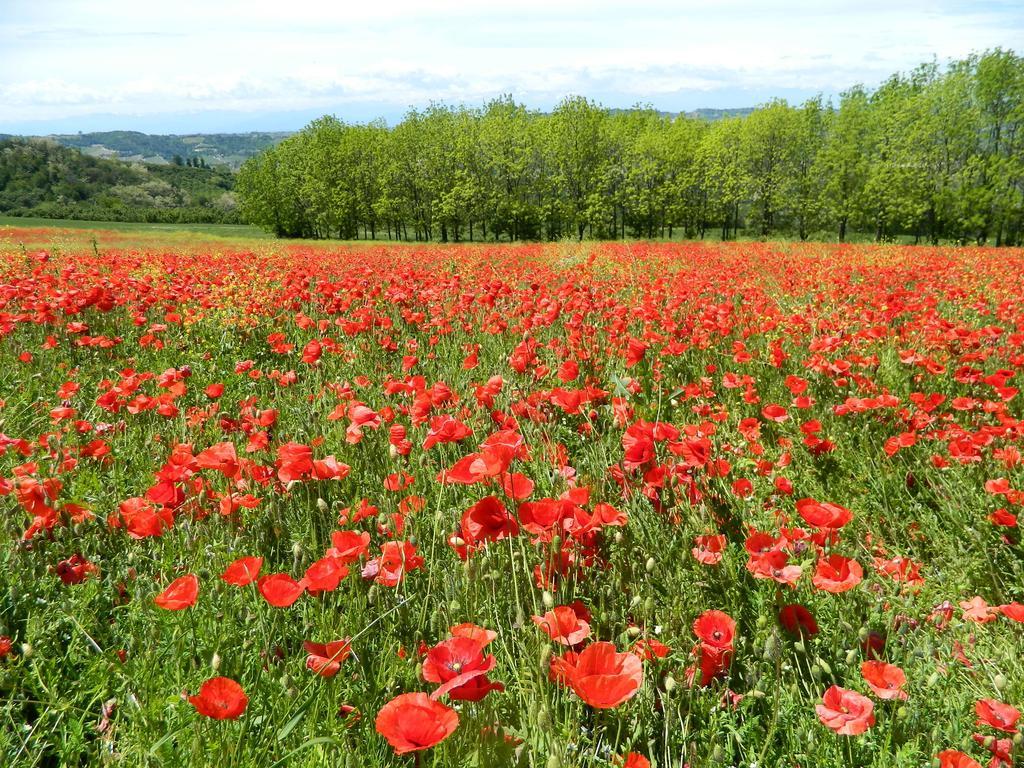 Cascina Beatrice Az Agrituristica Vendégház Rodello Kültér fotó