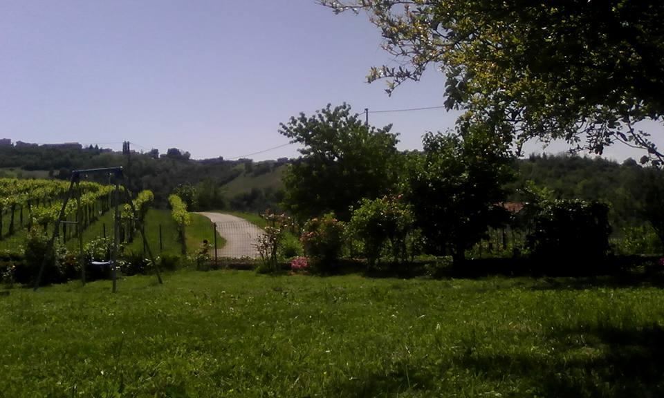 Cascina Beatrice Az Agrituristica Vendégház Rodello Kültér fotó